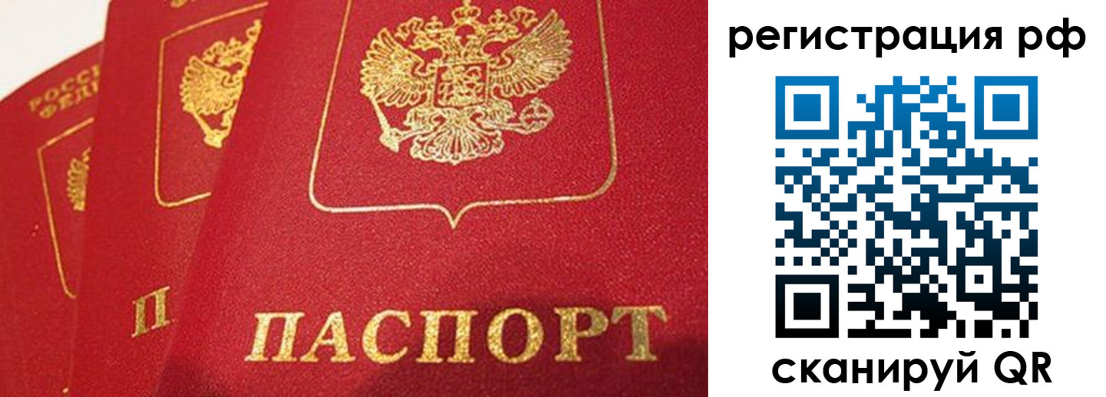 прописка поиск в Агрызе
